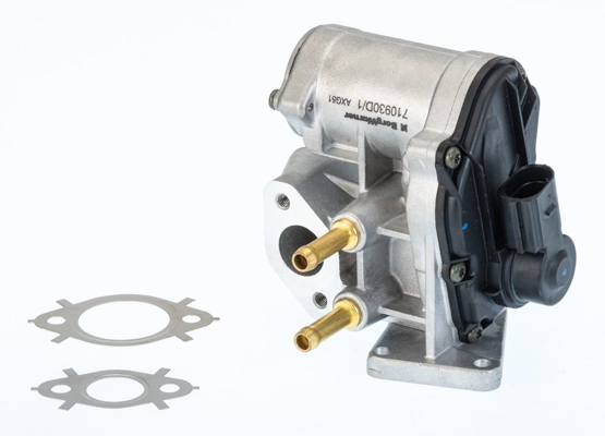 710930D Borg-Warner
