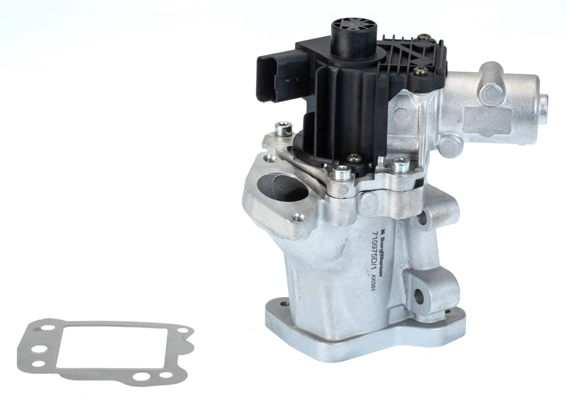 710975D Borg-Warner