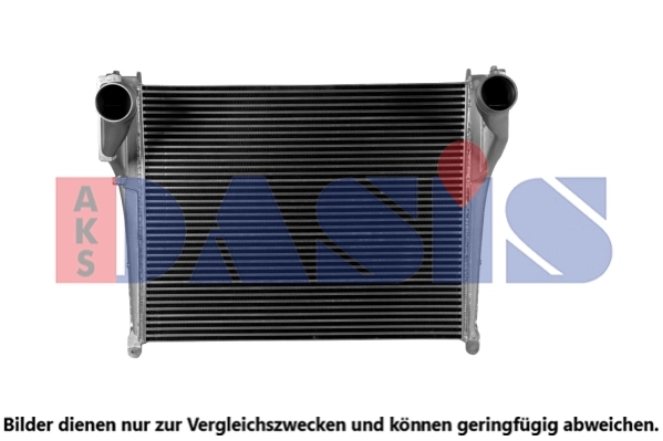 137002N Dasis