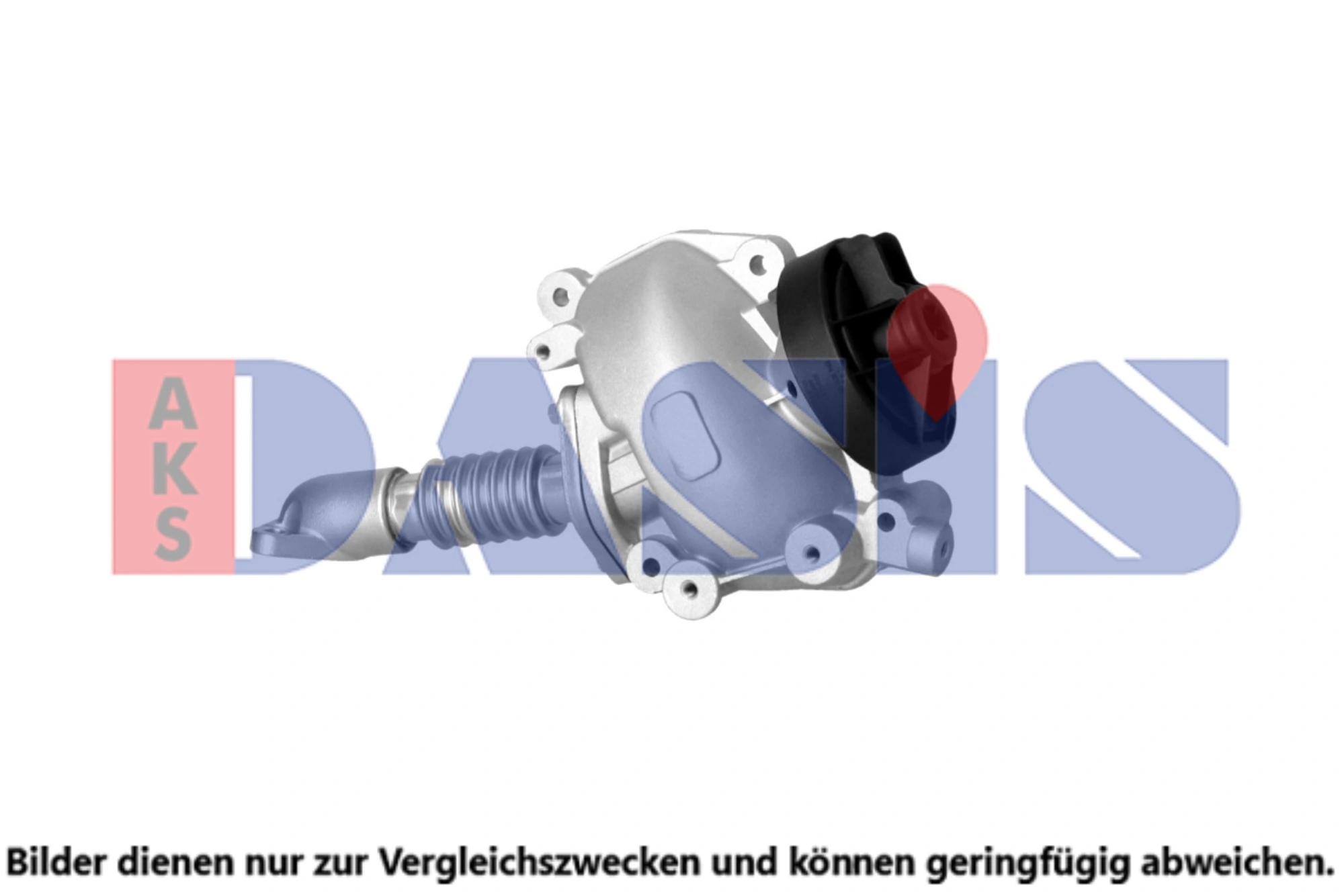 125031N Dasis
