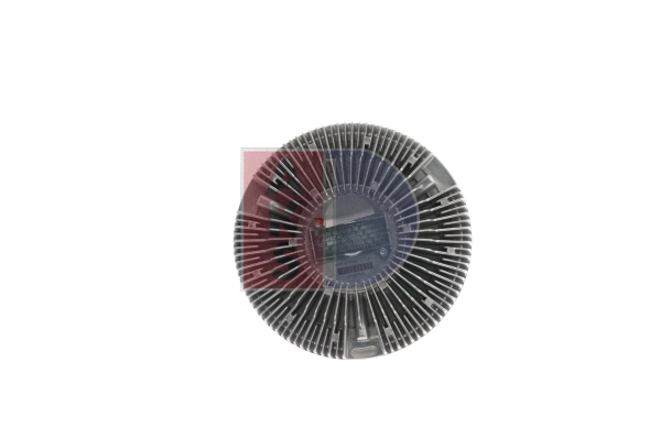 298058N Dasis