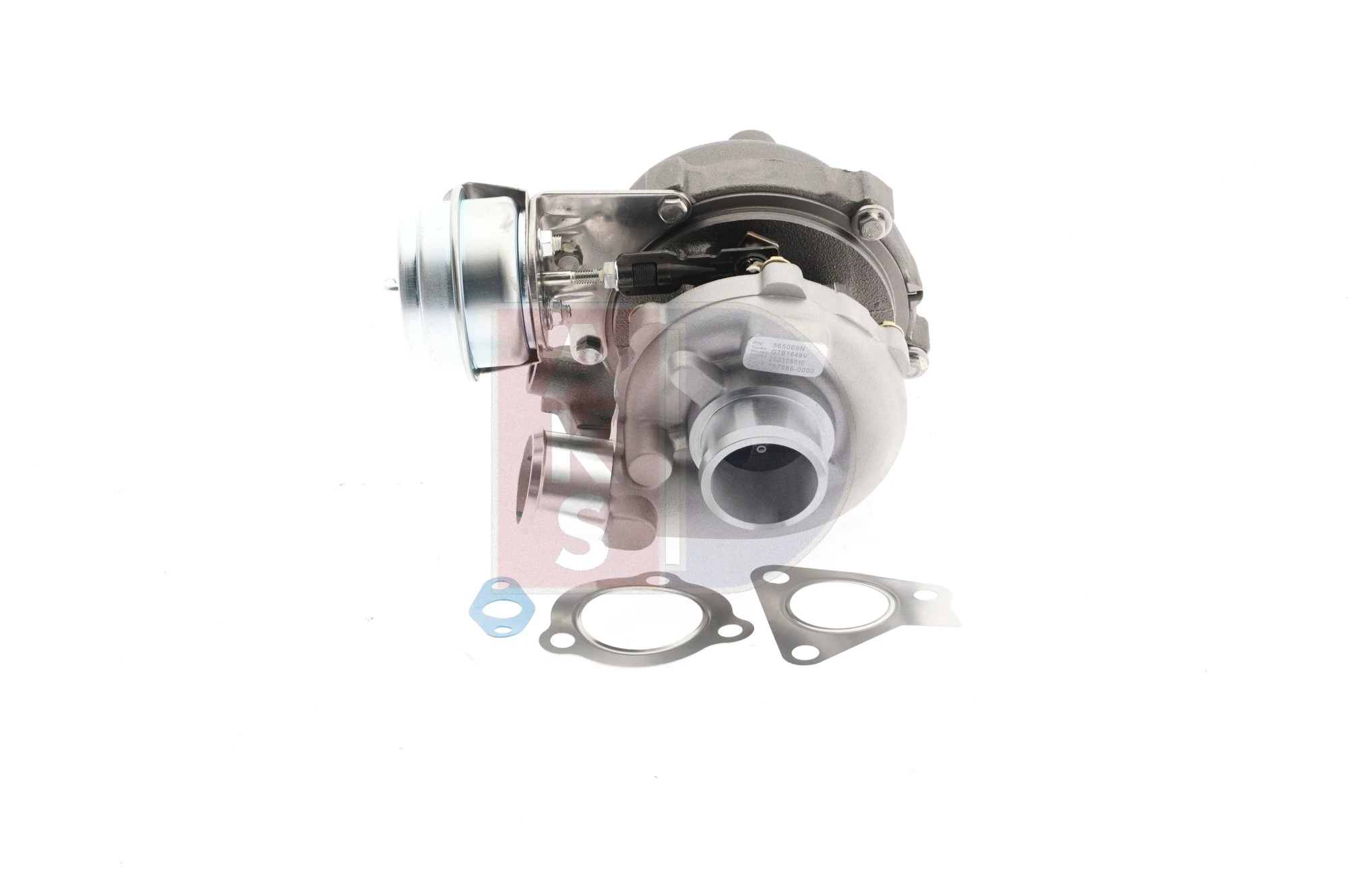 565009N Dasis
