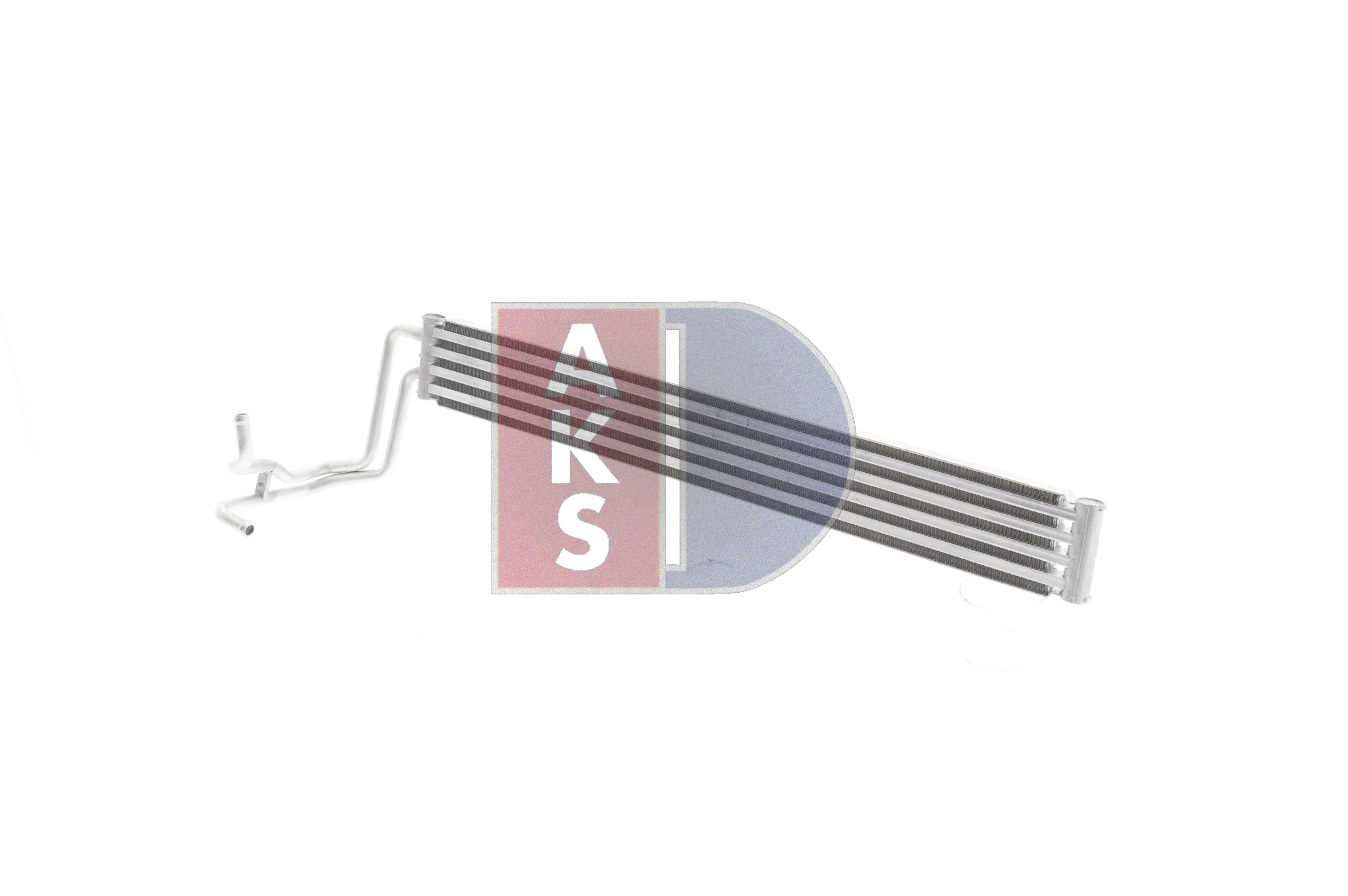 486004N Dasis