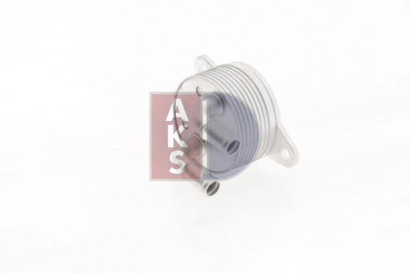 116002N Dasis