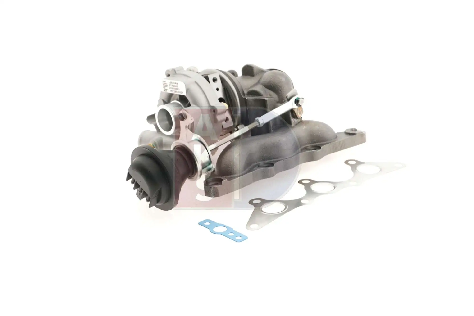 125014N Dasis