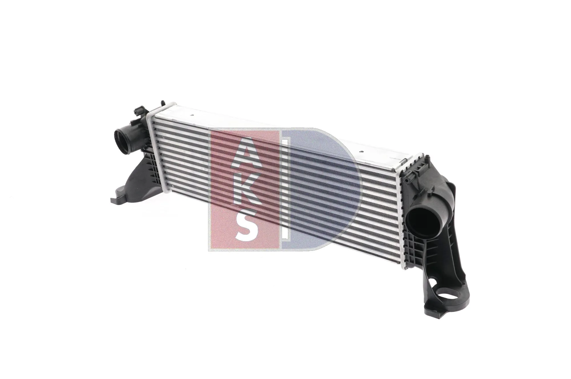 407012N Dasis