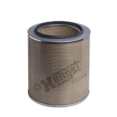 E213L Hengst