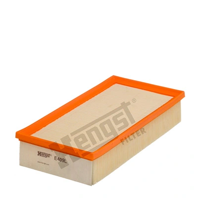 E409L Hengst