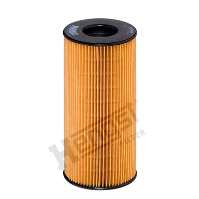 E501KPD559 Hengst