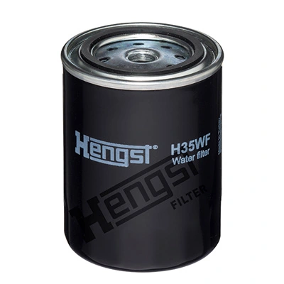 H35WF Hengst