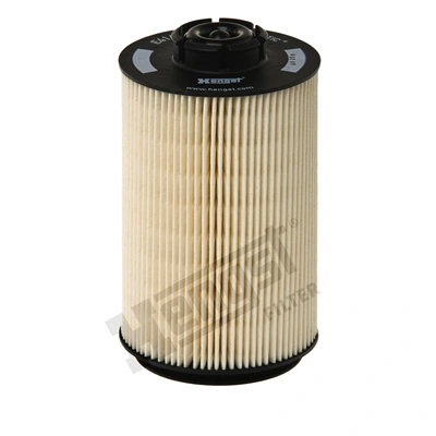 E416KP01D36 Hengst