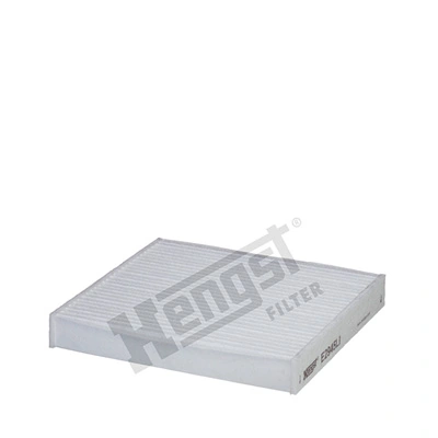 E2945LI Hengst