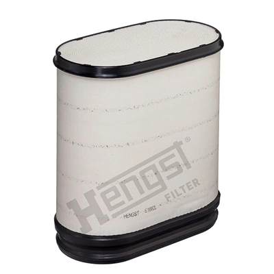 E1662L Hengst