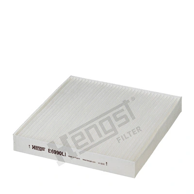 E6990LI Hengst