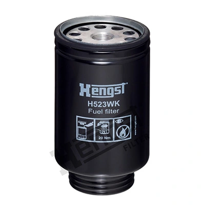 H523WKD539 Hengst