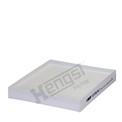 E5969LI Hengst