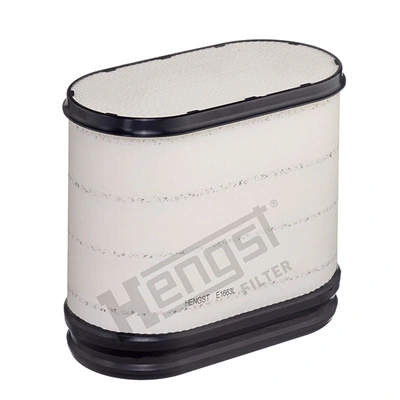 E1663L Hengst