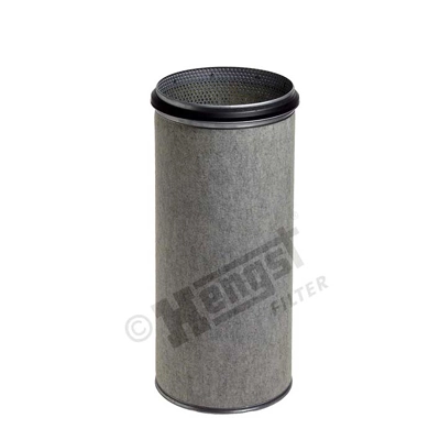E433LS Hengst