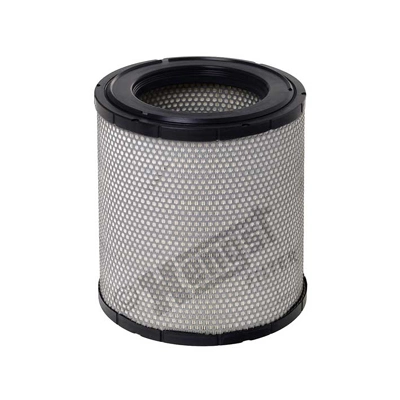 E593L Hengst