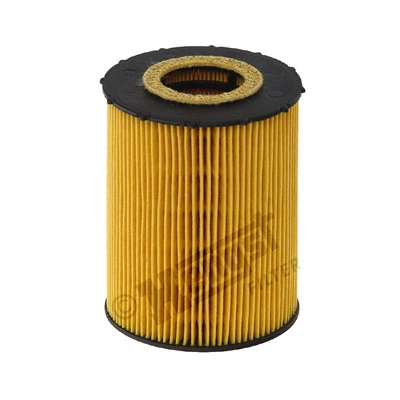 E203H04D67 Hengst