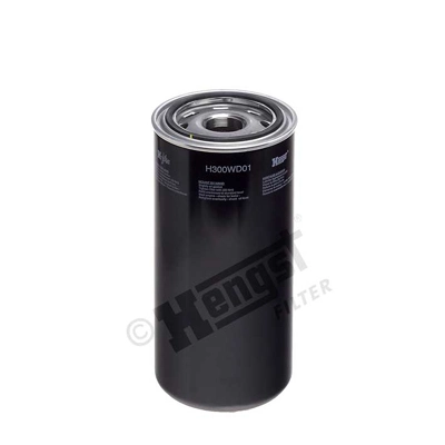 H300WD01 Hengst