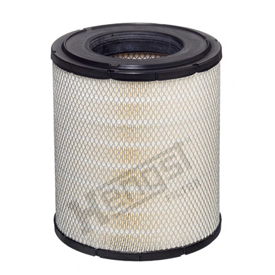 E591L Hengst