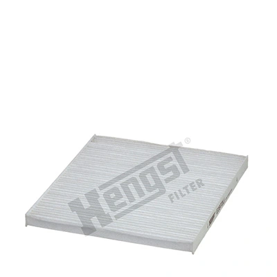 E3972LI Hengst