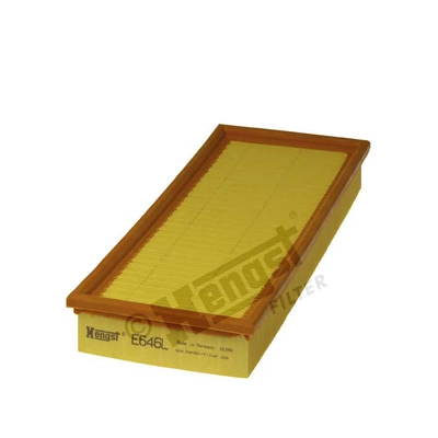 E646L Hengst