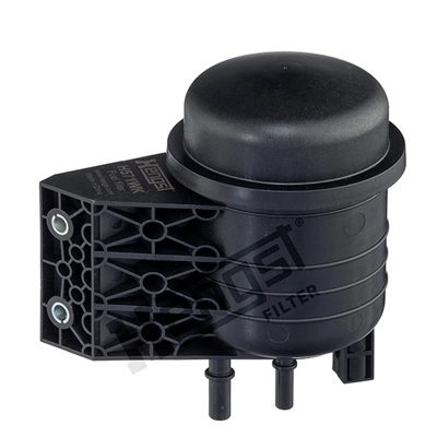 H571WK Hengst