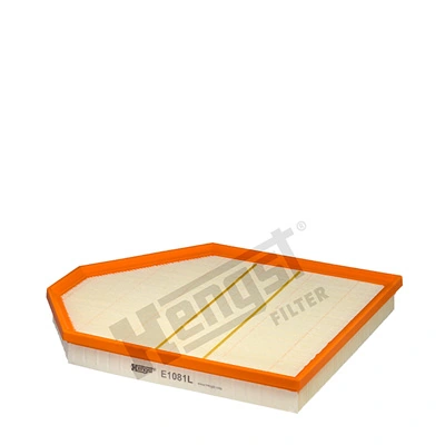 E1081L Hengst