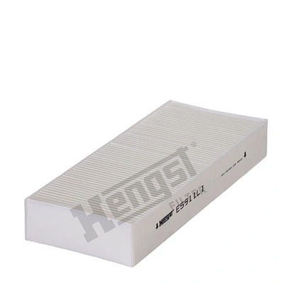 E5911LI Hengst