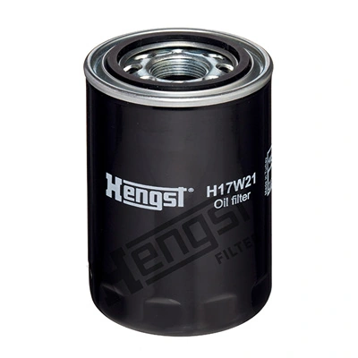 H17W21 Hengst