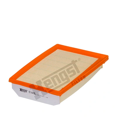 E1449L Hengst