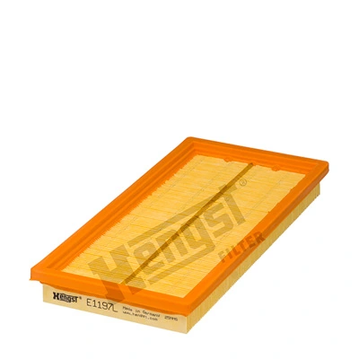 E1197L Hengst