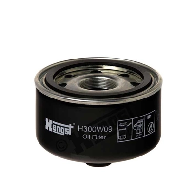 H300W09 Hengst