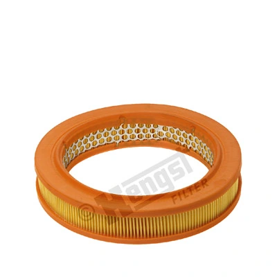 E797L Hengst