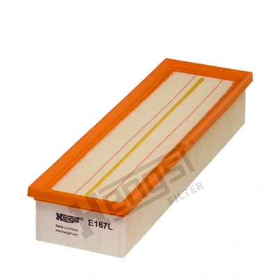 E167L Hengst