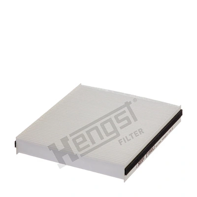 E1990LI Hengst