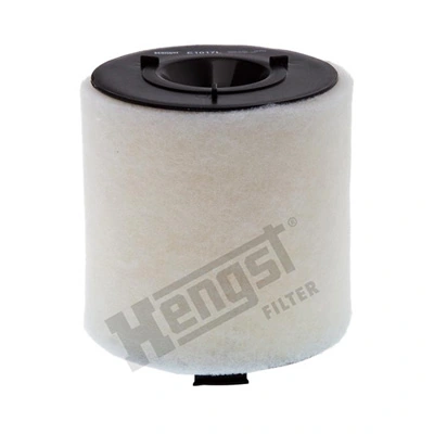 E1017L Hengst