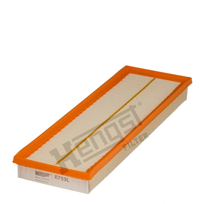 E753L Hengst