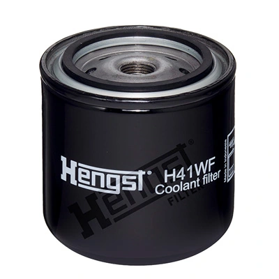H41WF Hengst