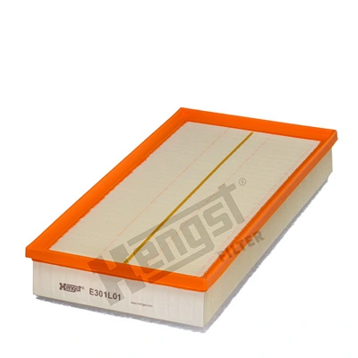E301L01 Hengst