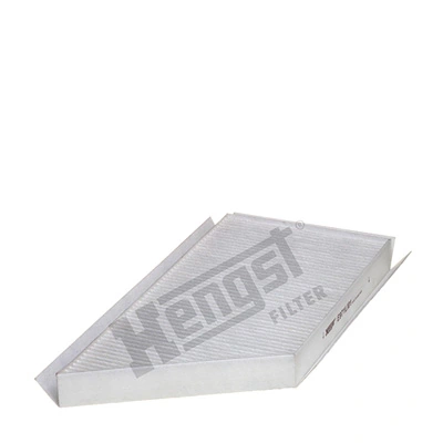 E971LI01 Hengst