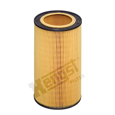 E43HD213 Hengst