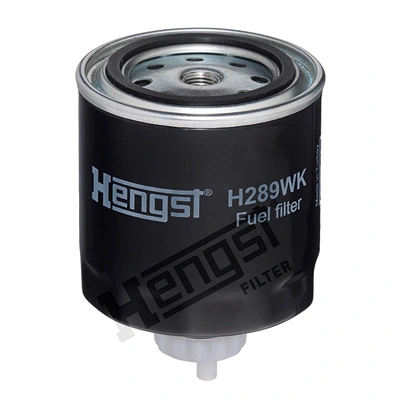 H289WK Hengst