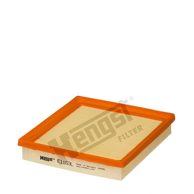 E1163L Hengst