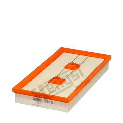 E601L Hengst
