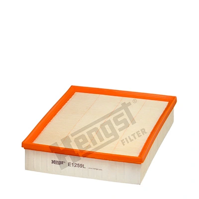 E1259L Hengst