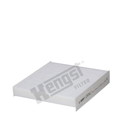 E3976LI Hengst