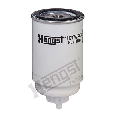H70WK03 Hengst